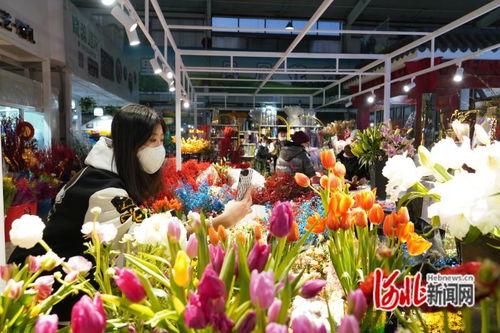 唐山鳳凰花卉市場躋身中國商品市場峰會時尚市場30強，彰顯辦公用品多元化魅力